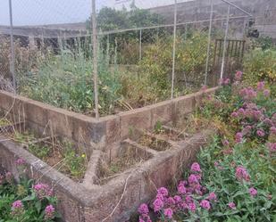 Jardí de Casa o xalet en venda en El Tanque amb Terrassa