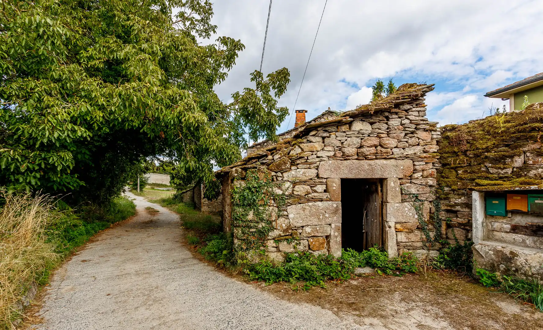 Vista exterior de Finca rústica en venda en Guntín