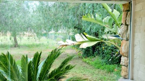 Foto 5 de Finca rústica en venta en Senija, Alicante