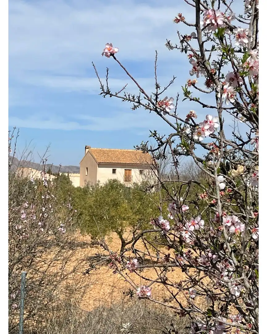 Casa rústica en venta en El Pinós / Pinoso, imagen 3