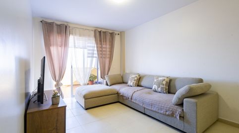 Foto 3 de Piso en venta en Ctra. Palo Blanco, 159, 159, Palo Blanco, Los Realejos