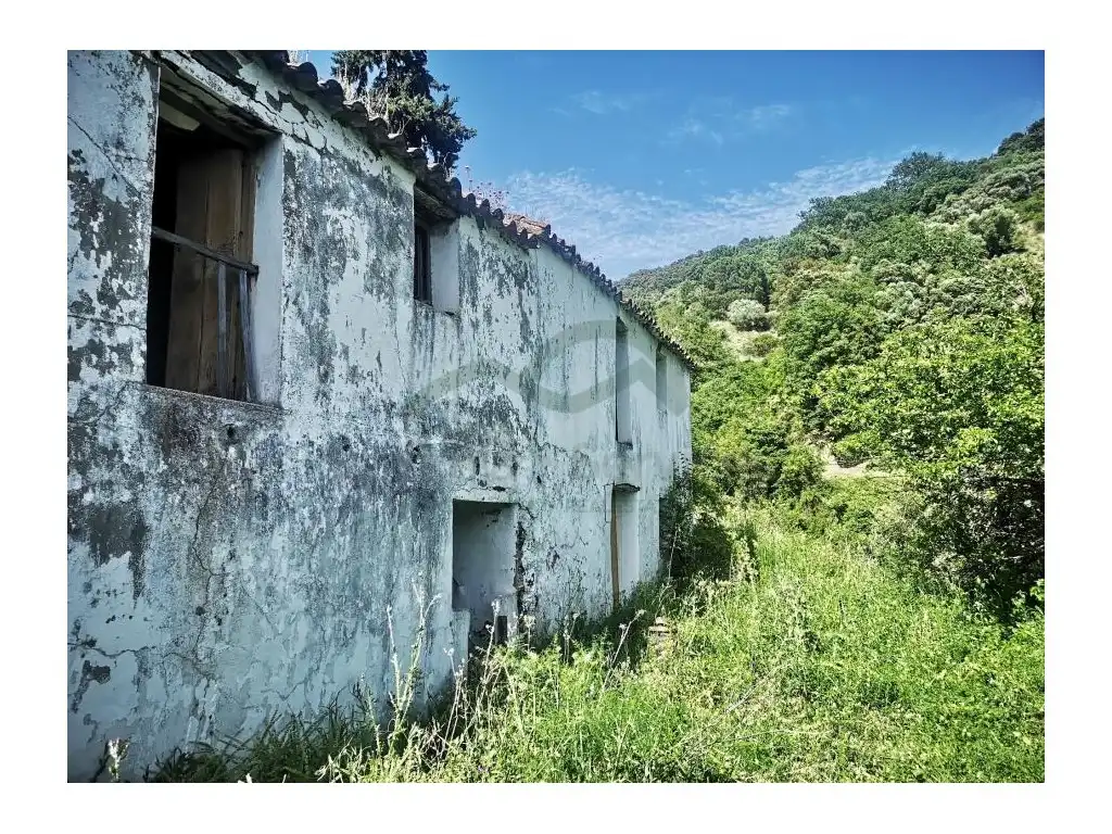 Vista exterior de Finca rústica en venda en Jubrique