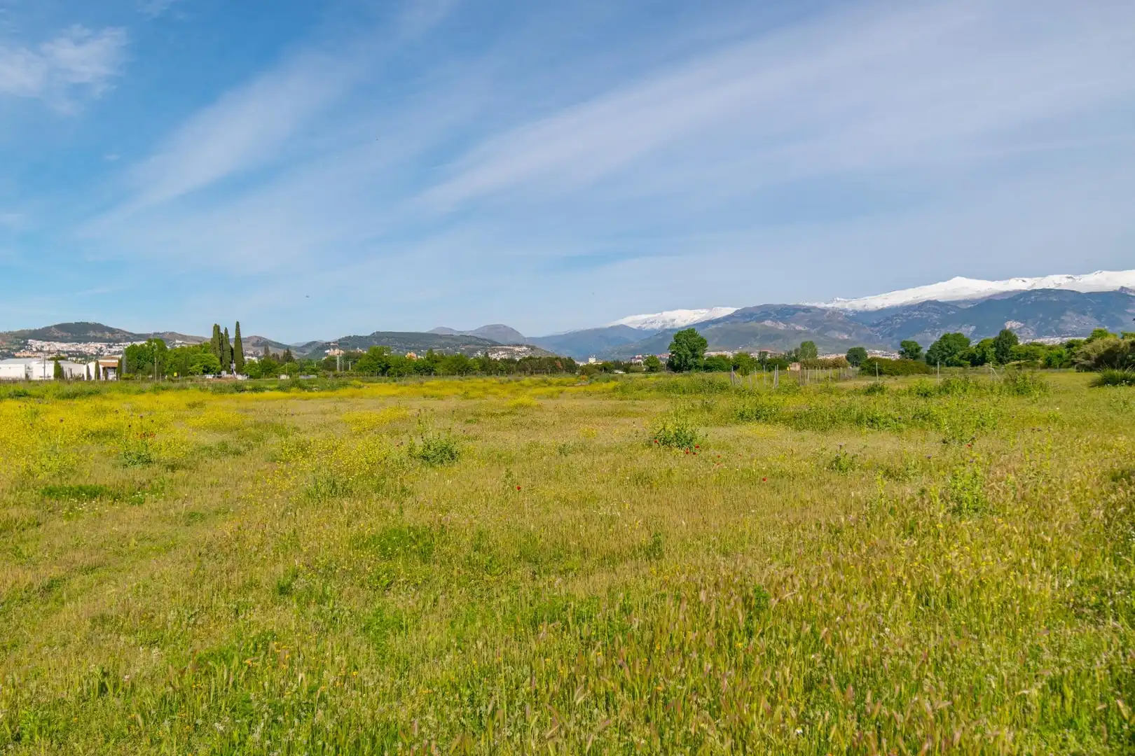 Lands and plots for sale in Polígono 9 Parcela 307 MARACHAT. GRANADA (GRANADA, imagen 23