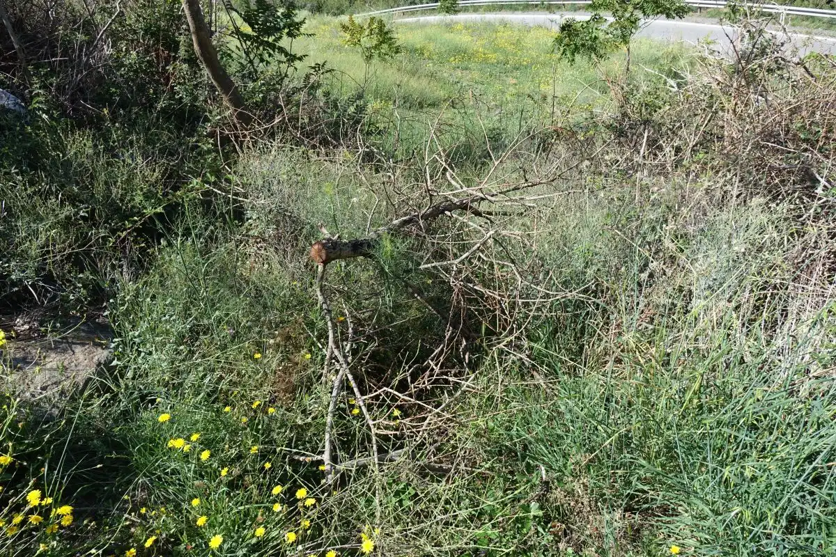 Finca rústica en venta en Capileira