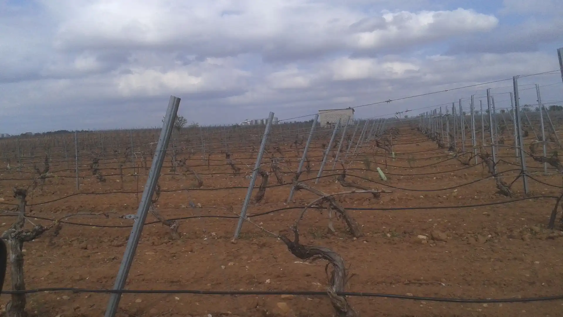 Terrenys i solars en venda a Las Mesas, imagen 15