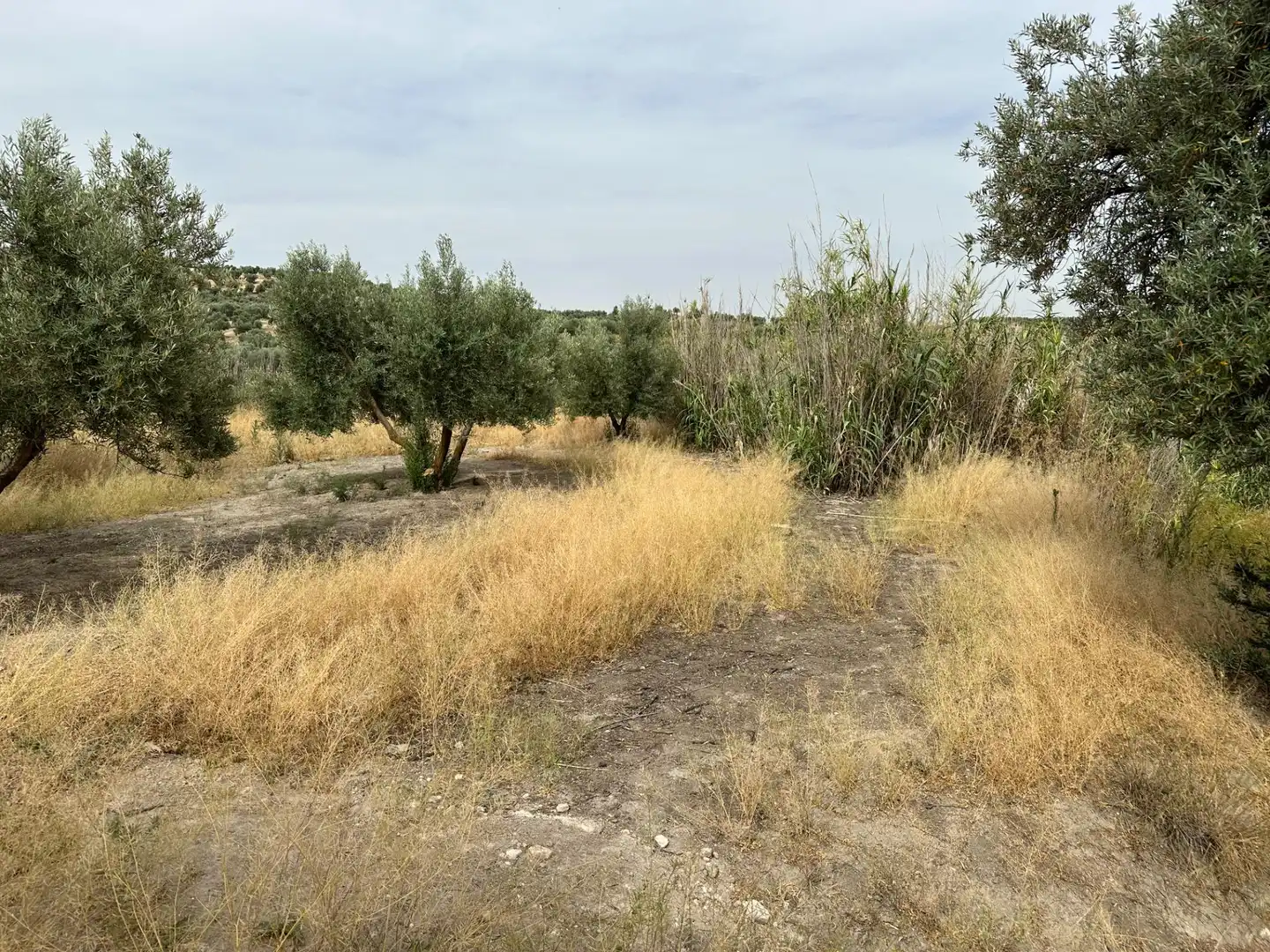 Wohnbaugrundstück zum Verkauf in Chimeneas, imagen 18