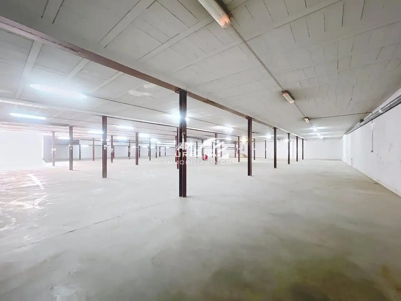 Fabrikhallen zur Miete in Lucena