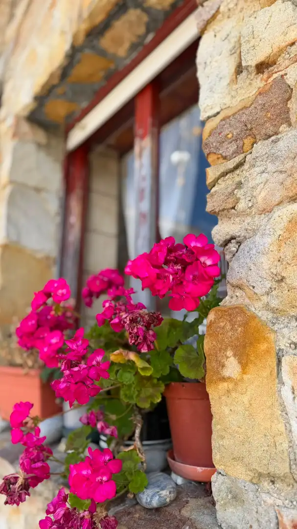 Terrassa de Finca rústica en venda en Villaviciosa amb Calefacció, Jardí privat i Terrassa