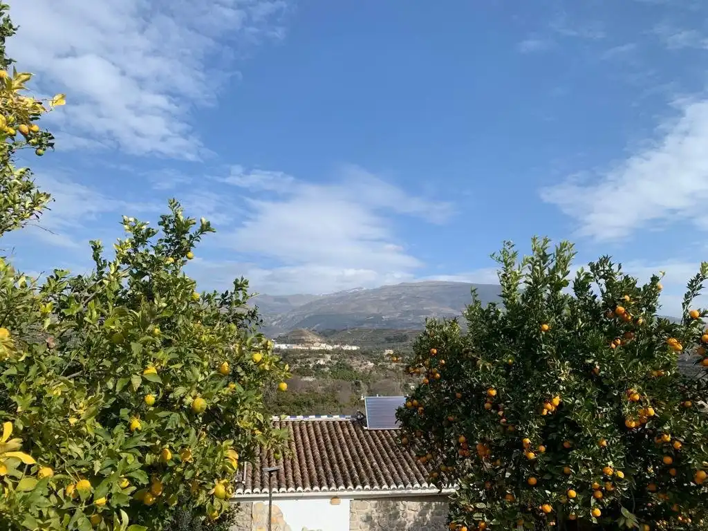 Finca rústica en venta en Lecrín
