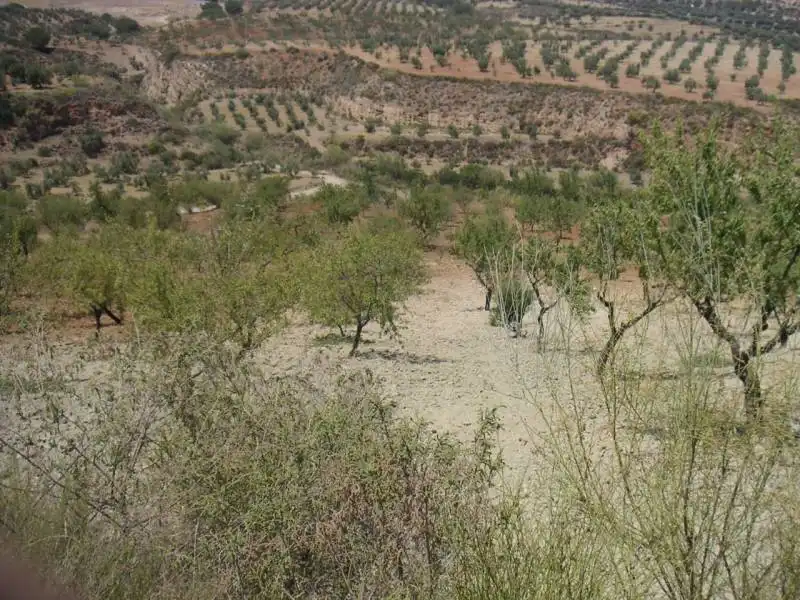 Casa o chalet en venta en Ugíjar