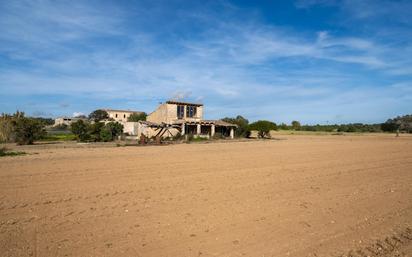 Casa o xalet en venda en Porreres amb Jardí privat