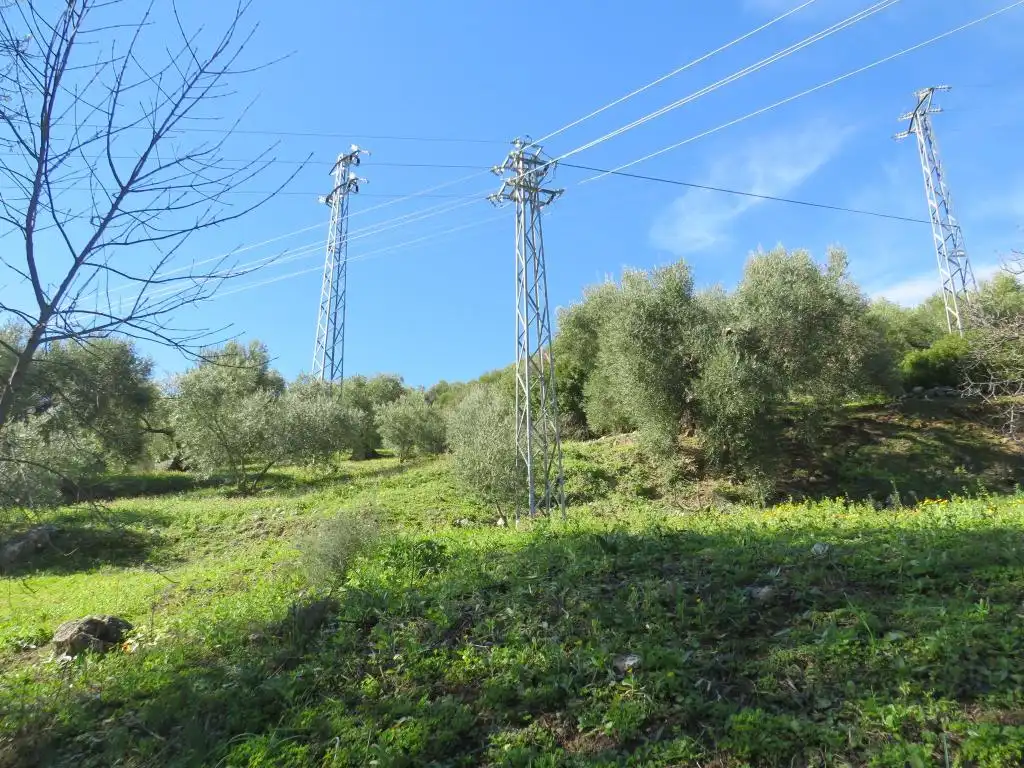 Terreno en venta en Cádiz