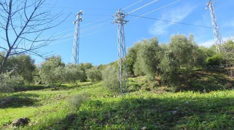 Photo 5 of Land for sale in Loma del Batan, El Pópulo - Santa María, Cádiz