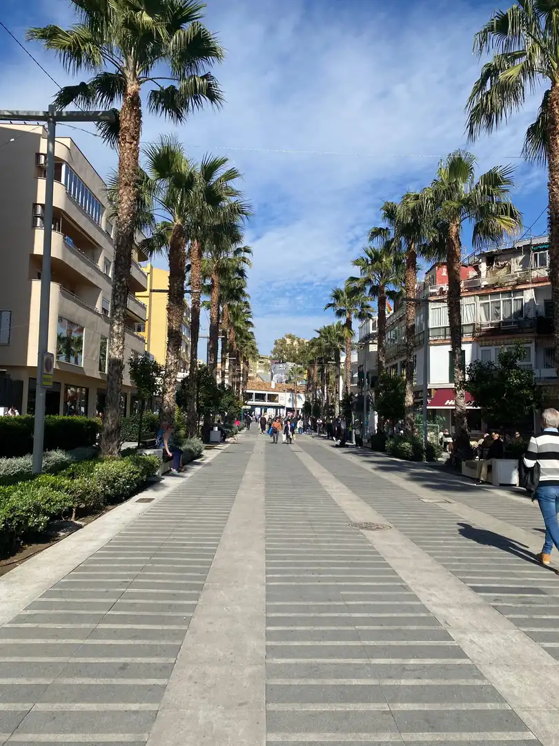 Business premises for transfer in CL CRUZ LA 4TORREMOLINOS (MÁLAGA), imagen 14