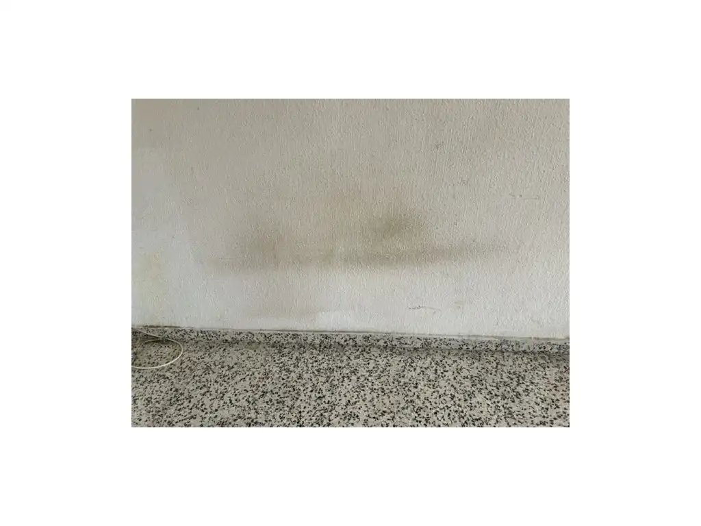Flat for sale in Avenida D´Estoup, imagen 20