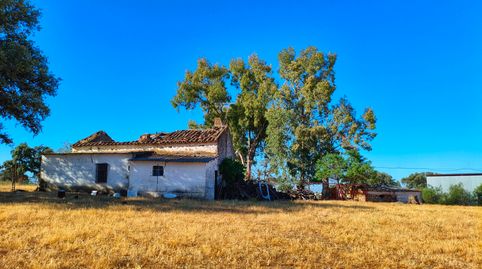 Photo 5 of Land for sale in N/a, -1, Dos Torres, Córdoba