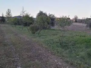 Terreno en venta en Piedrabuena