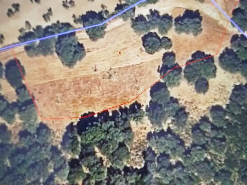 Land for sale in Coripe
