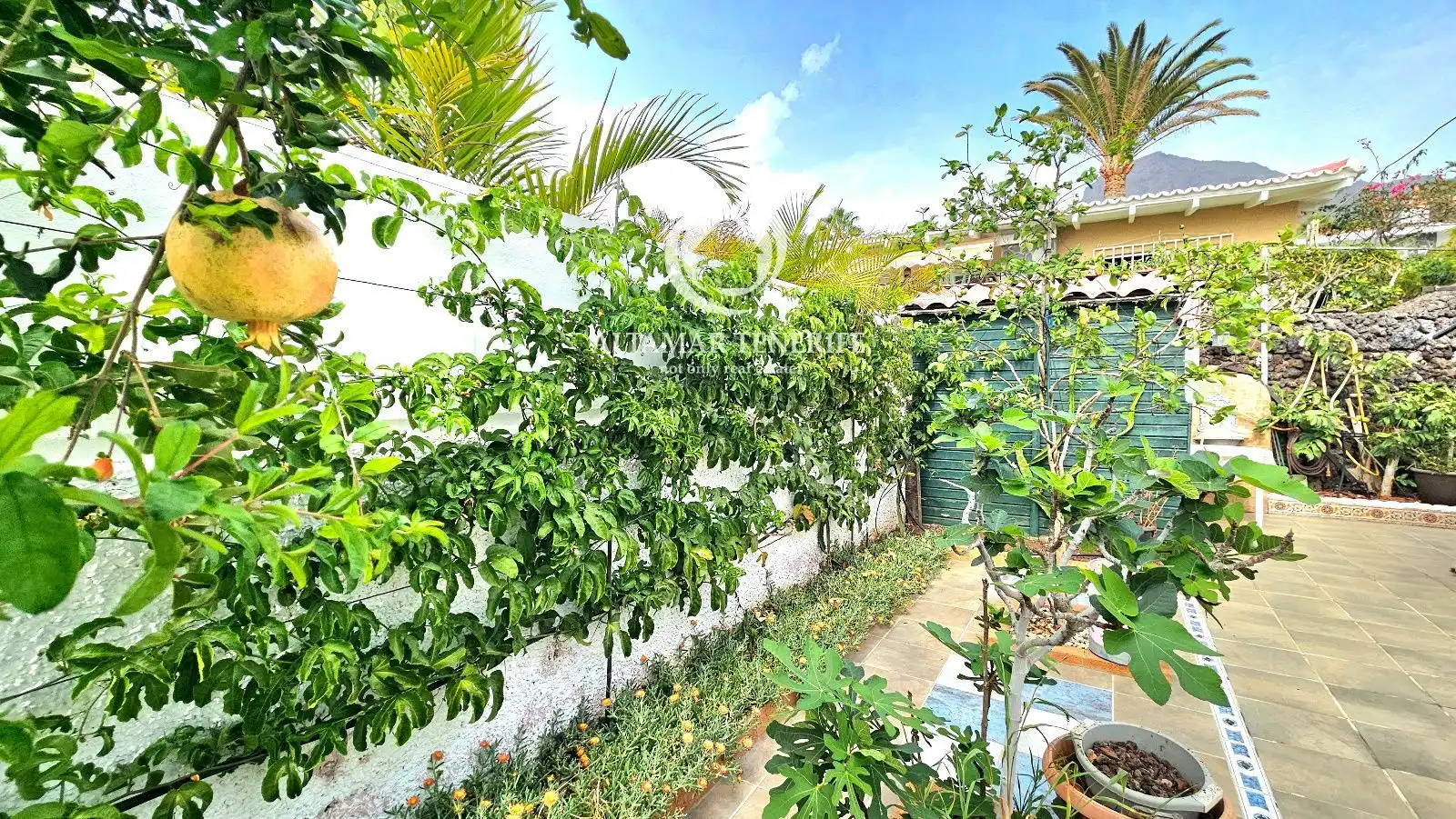 Exterior view of Houses for sale in Costa Adeje