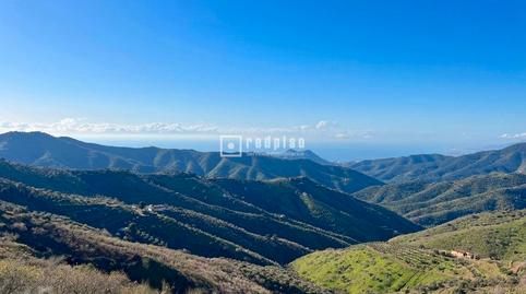 Photo 4 of Industrial land for sale in Lagar Brun Bajo, Olías, Málaga