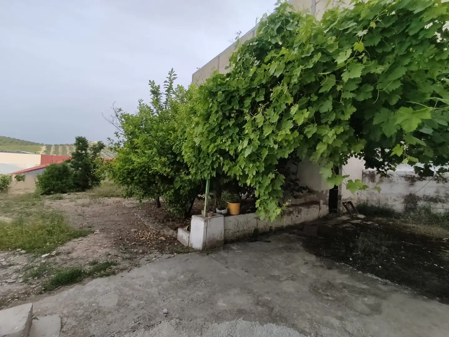 Nave industrial en venta en Jaén
