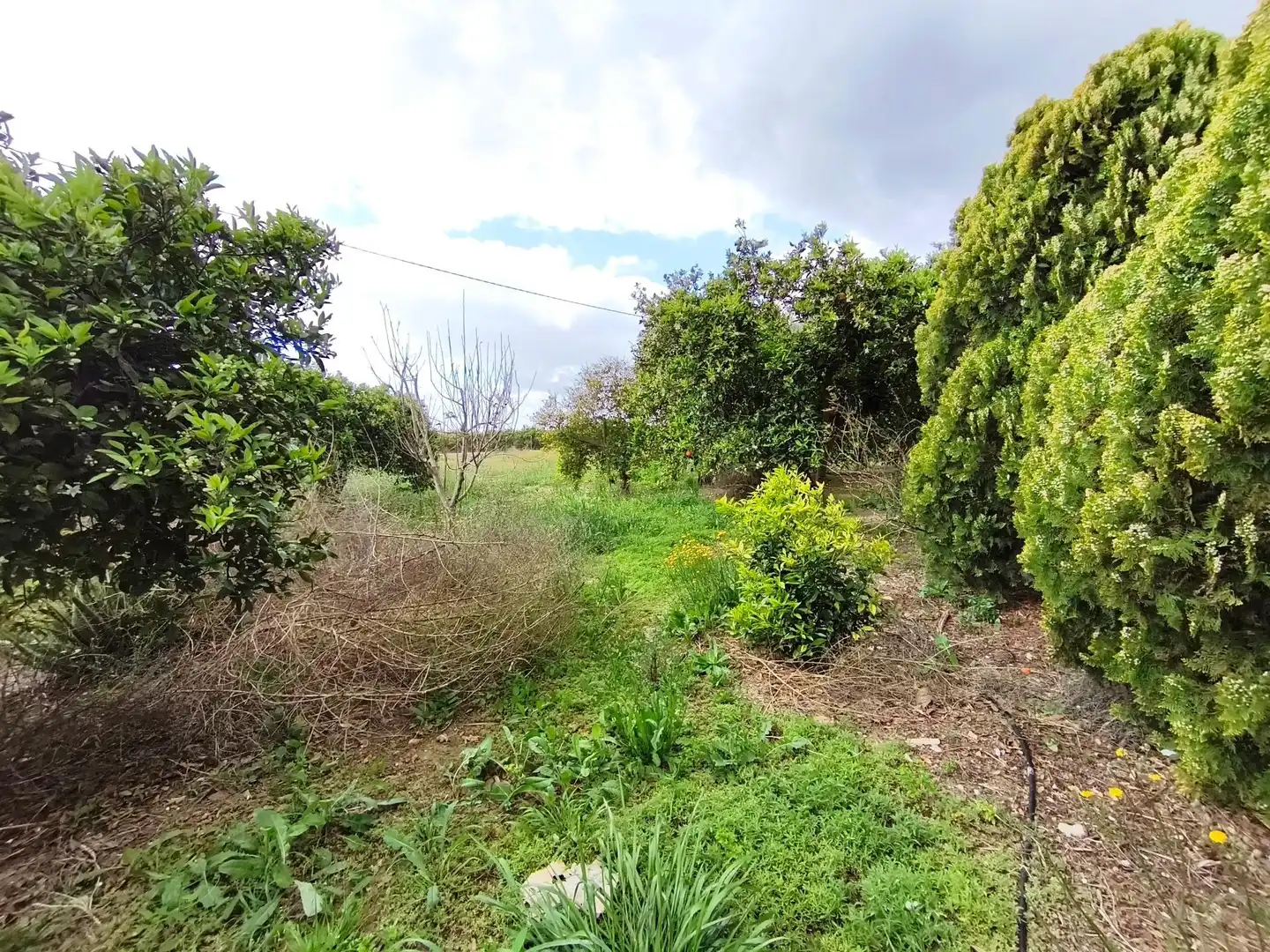 Casa en venta en Las Bayas, imagen 5