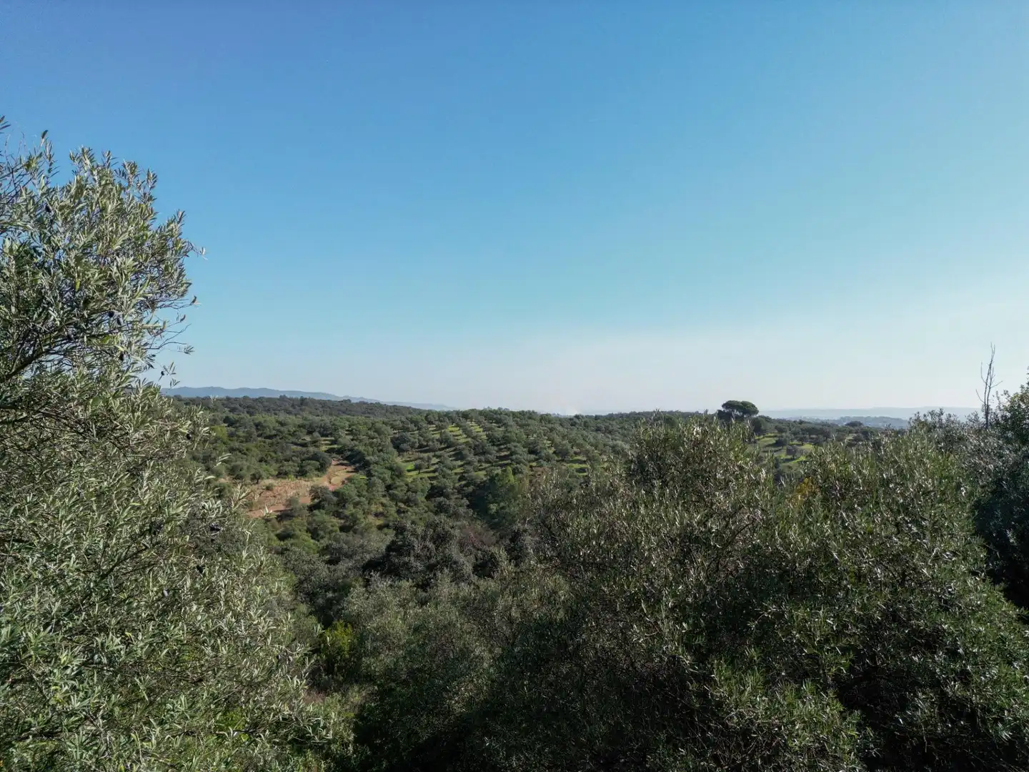 Wohnbaugrundstück zum Verkauf in Avenida san jose de calasanz, imagen 5