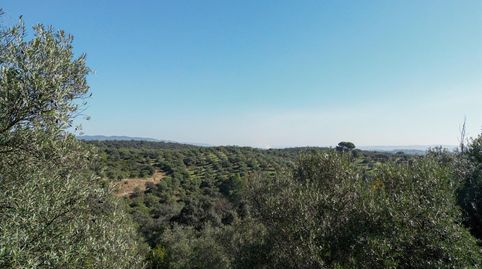 Foto 5 de Residencial en venta en Avenida San Jose de Calasanz, El Brillante -El Naranjo - El Tablero, Córdoba Capital