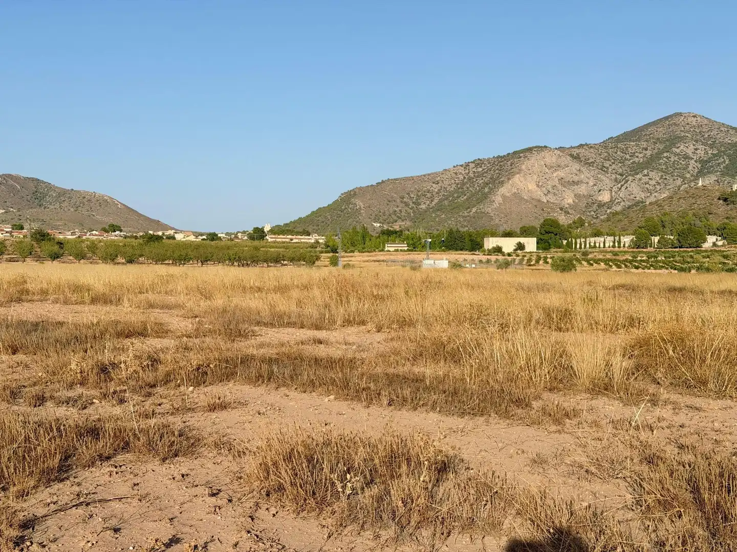 Rural land for sale in Algueña, imagen 7
