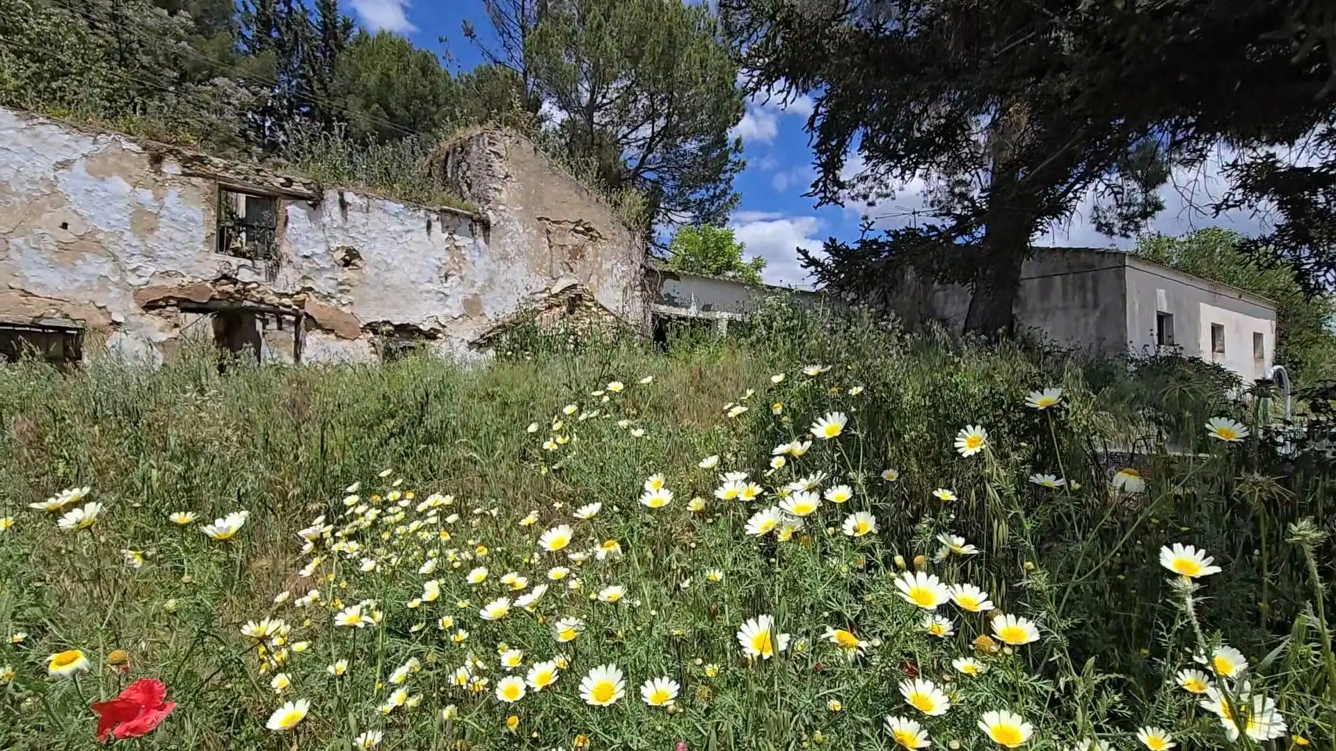 Garten von Grundstücke zum Verkauf in Setenil de las Bodegas