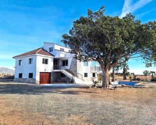 Exterior view of House or chalet for sale in  Murcia Capital  with Private garden, Terrace and Swimming Pool
