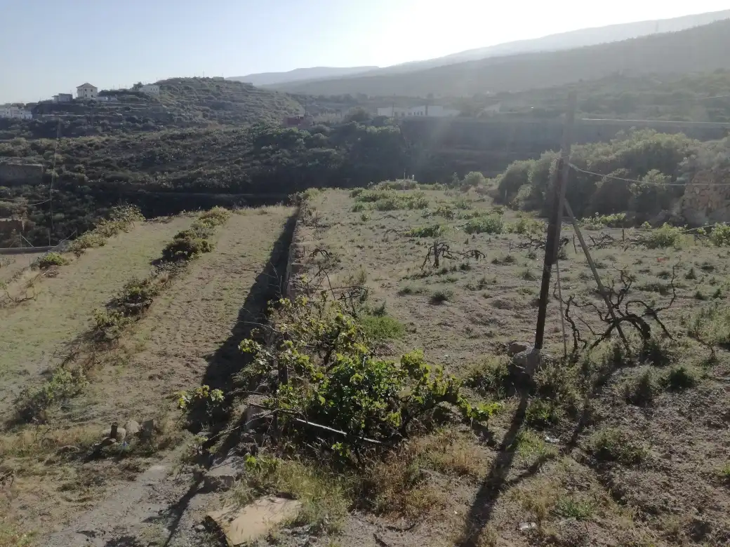 Country house for sale in El Escobonal - Pájara, imagen 6