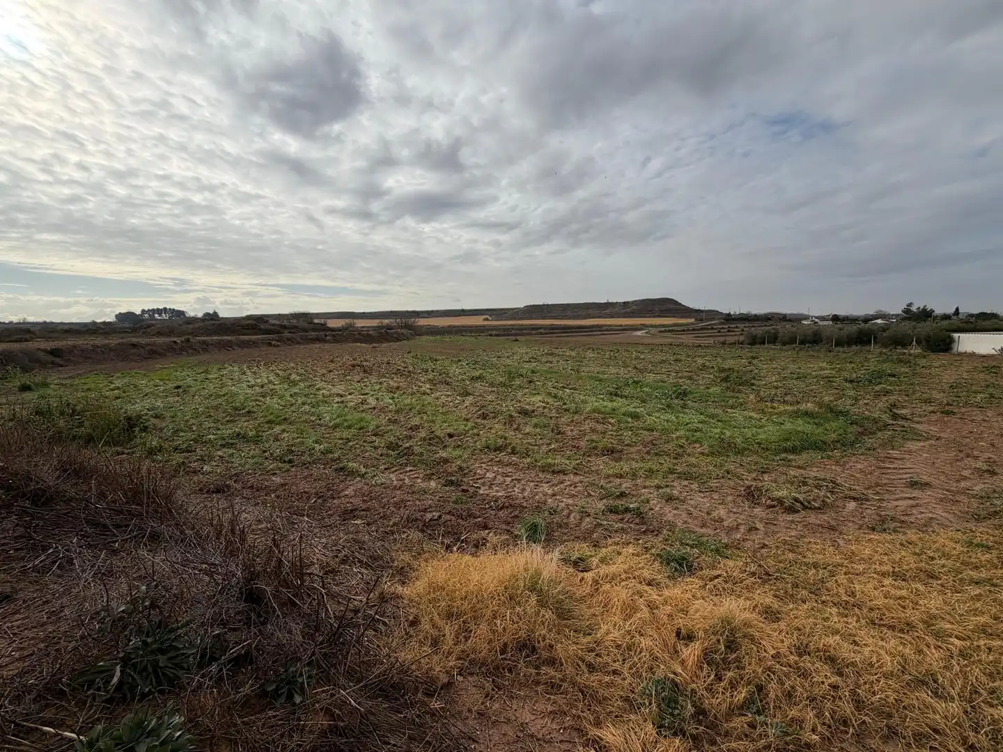 Terreno rustico in vendita a Carrer la Font, imagen 5