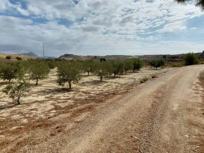 House with pool for sale in de 30620, Partida las Payas, 1, 30620 Fortuna, Murcia 1, imagen 62