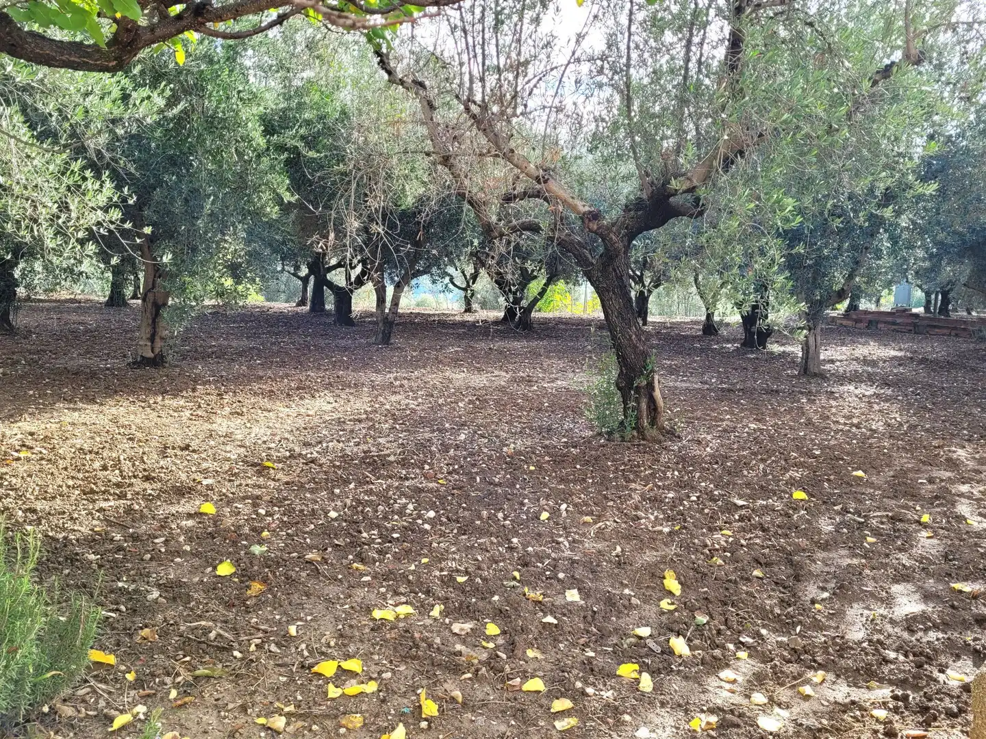 Casa o xalet en venda a Cocentaina