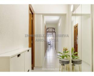 Flat to rent in  Almería Capital  with Air Conditioner and Furnished