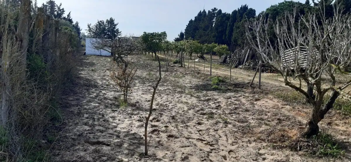 Residential land for sale in La Coquina, imagen 2