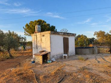 Terreny rústic en venda a URB DOÑA JACINTA BAJA