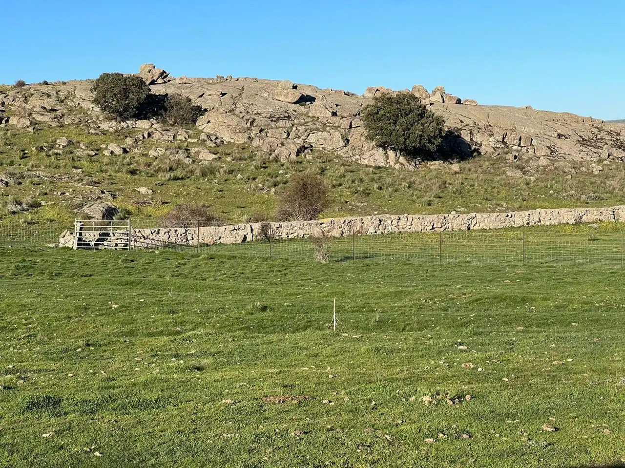 Terreni e lotti in vendita a Tornadizos de Ávila, imagen 56
