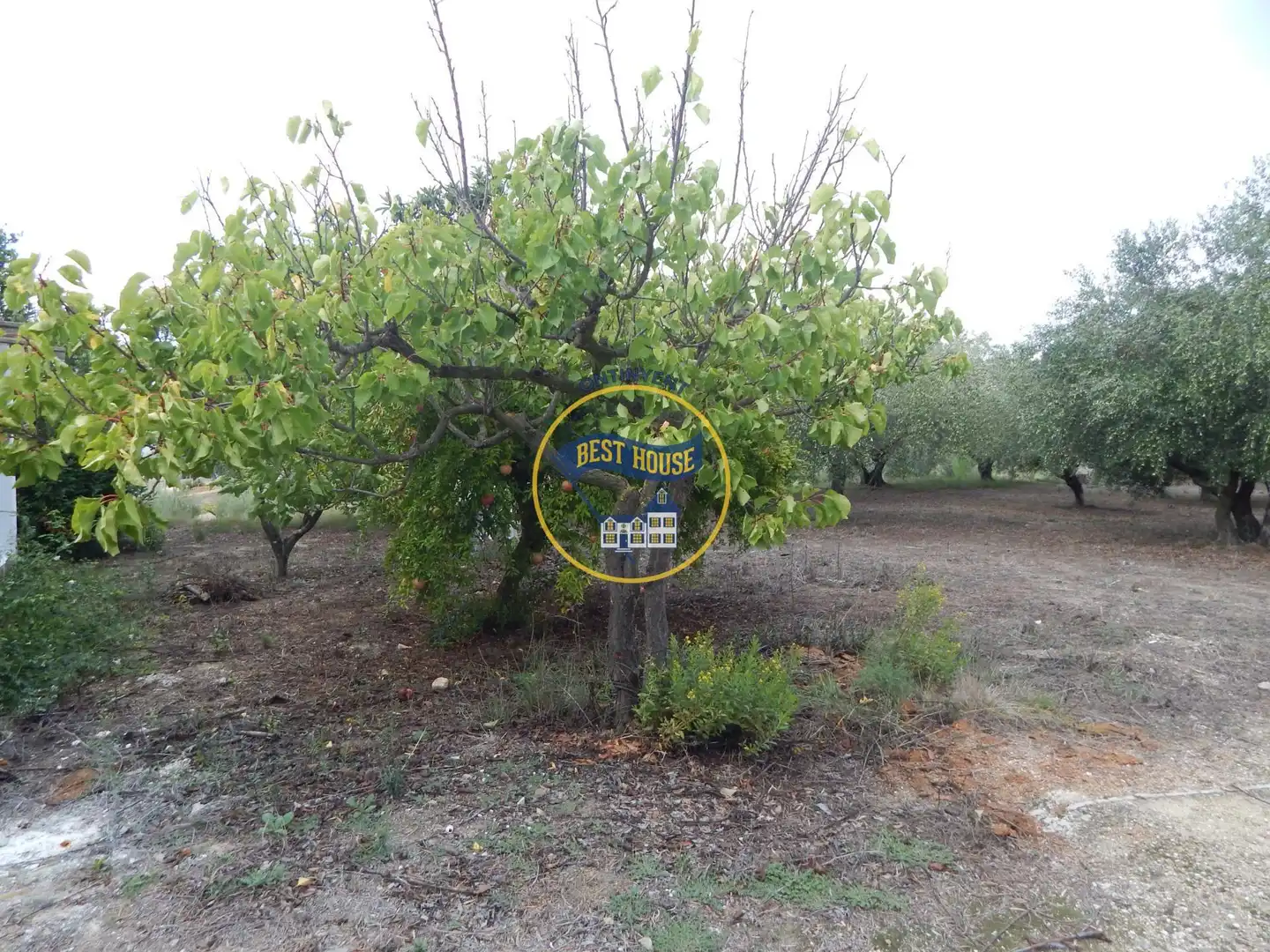 Villa avec jardin à vendre à Sant Josep - Zona Hospital, imagen 48