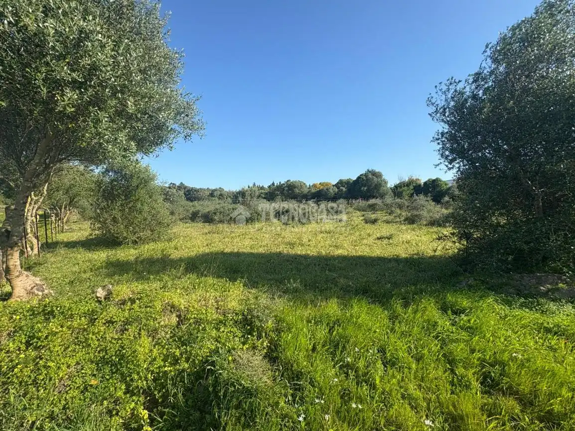 Terreno rustico in vendita a Barbate ciudad, imagen 18