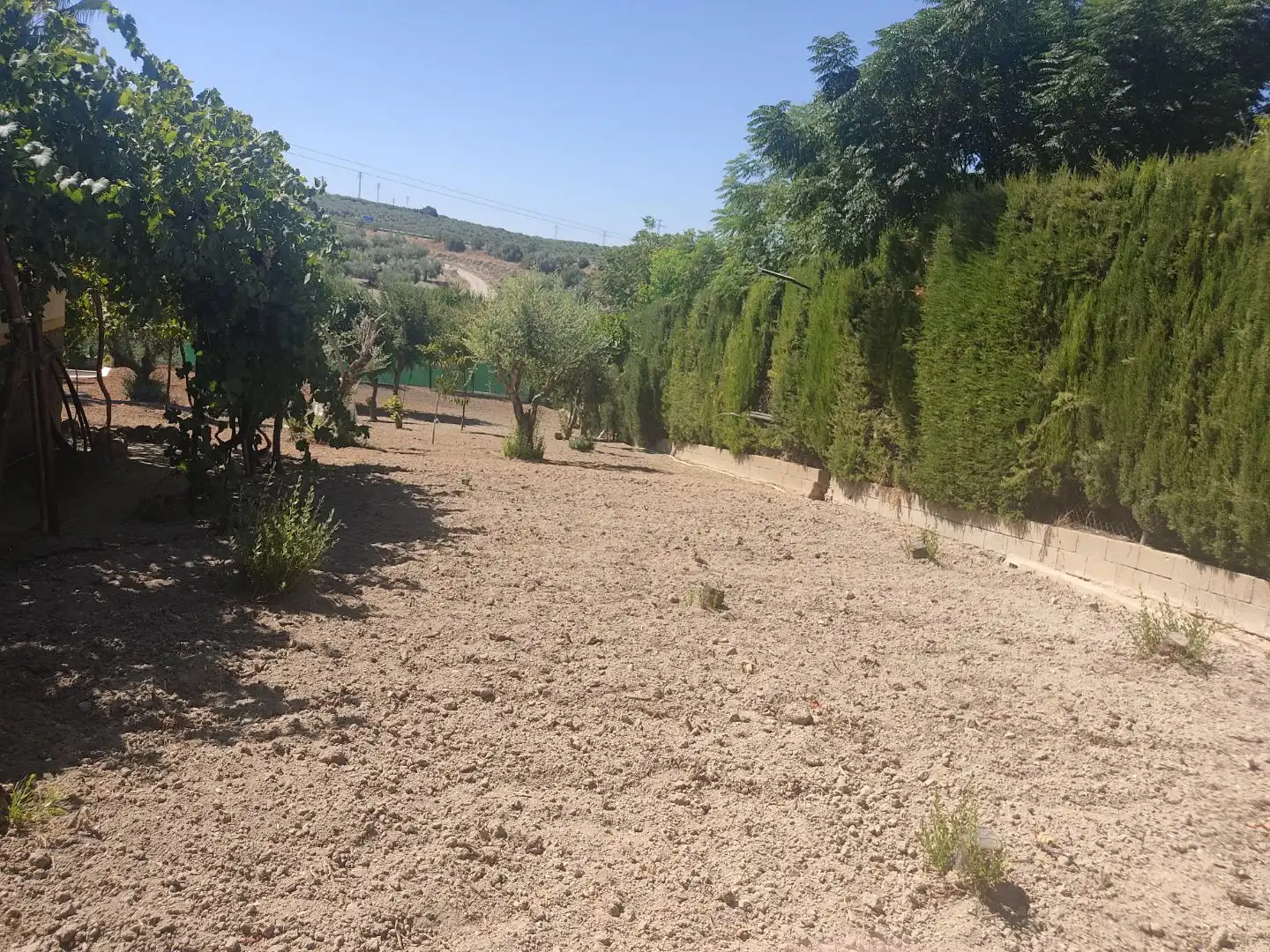 Chalet con piscina en venta en Carretera Córdoba - Málaga 3, imagen 12