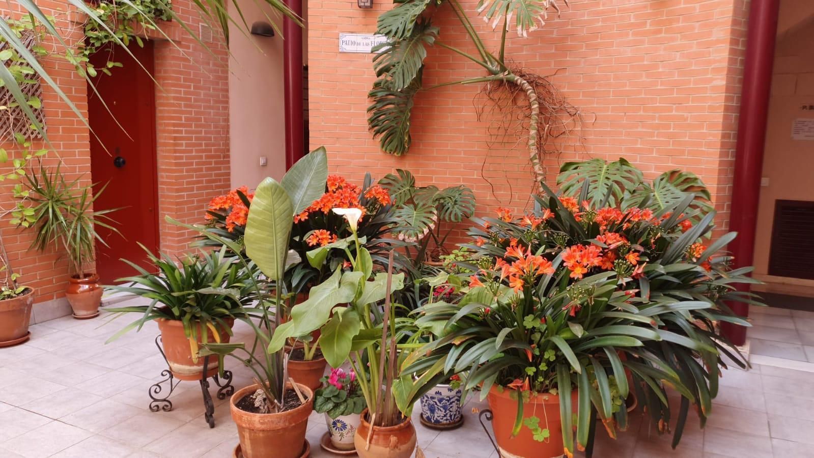 Garden of Flat to rent in Jerez de la Frontera  with Air Conditioner and Furnished