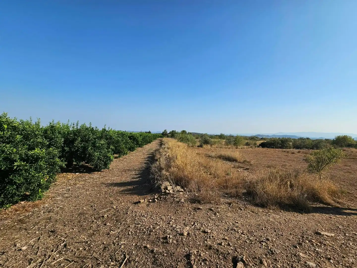 Terrain rustique à vendre à Urbanizaciones, imagen 14