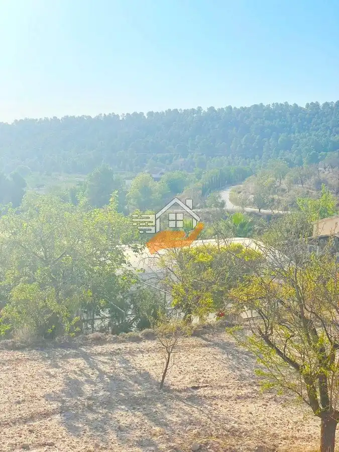 Lands and plots for sale in Vélez-Blanco, imagen 10