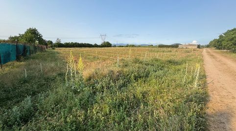 SE VENDE FINCA RUSTICA EN LAS CHANAS DE CAMPONARAYA, immagine 3