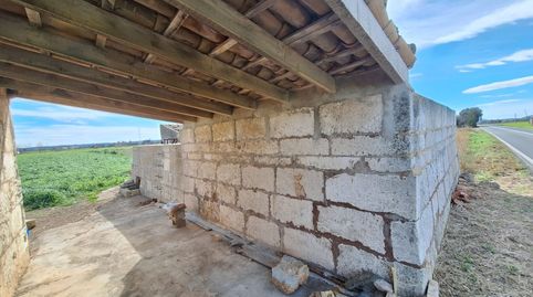 Foto 3 de Terreno en venta en Sa Pobla, Illes Balears