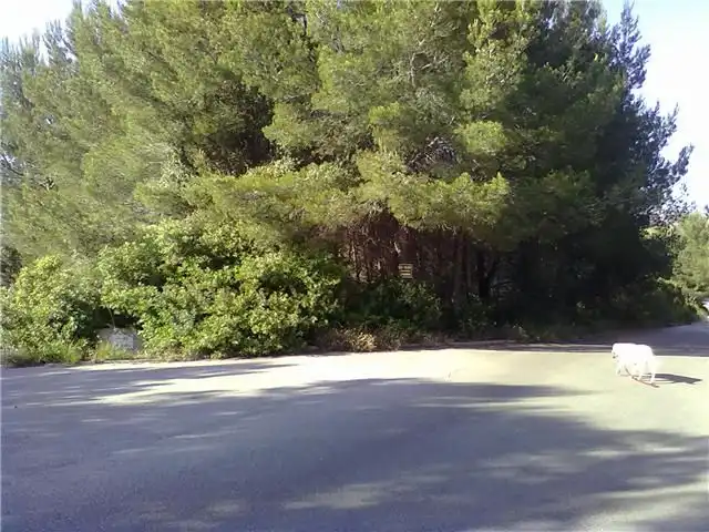 Terrenys i solars en venda a Betlem, imagen 12