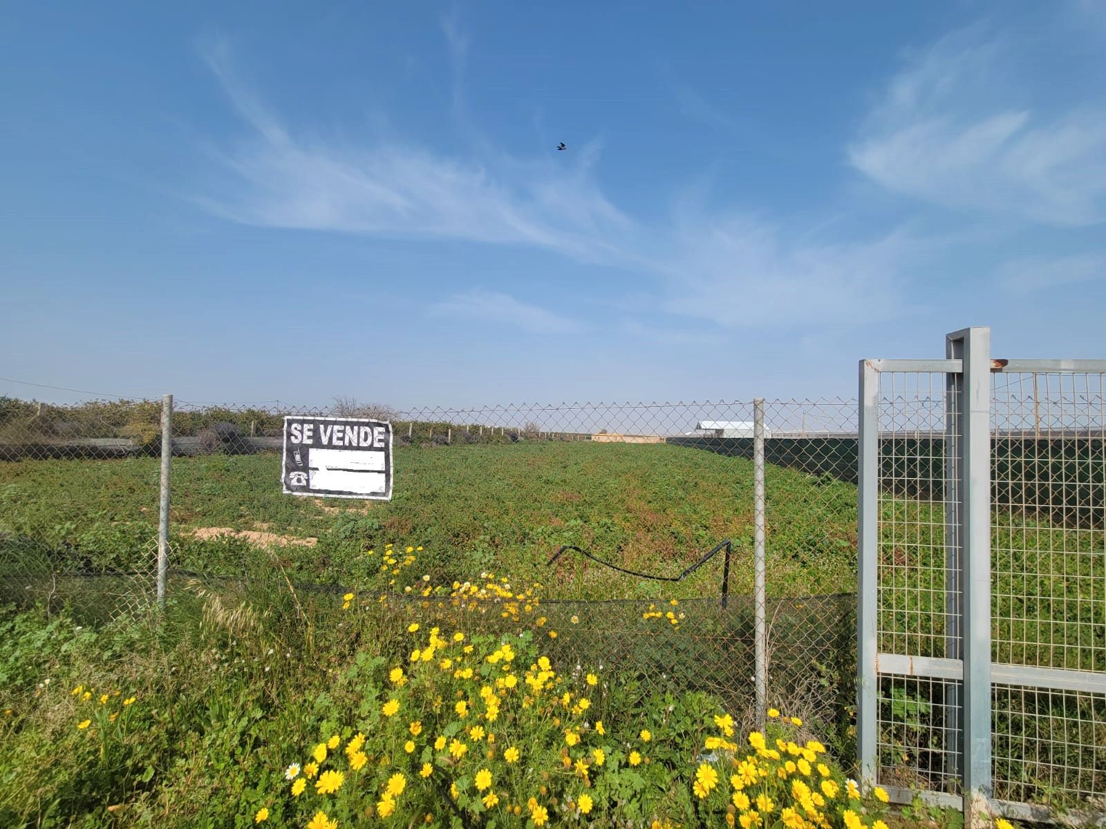 Land for sale in San Pedro del Pinatar