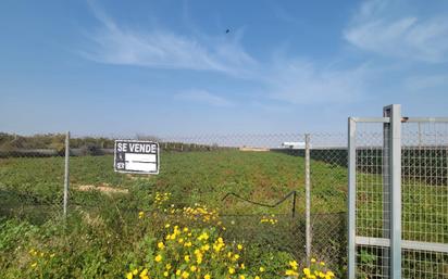 Land for sale in San Pedro del Pinatar